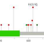 Exome Sequencing Reveals AMER1 as a Frequently Mutated Gene in Colorectal Cancer