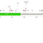 Exome Sequencing Reveals AMER1 as a Frequently Mutated Gene in Colorectal Cancer